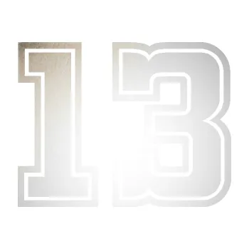 Polep vozidla Startovní číslo 13 typ 5 (82 - odrazková reflexní bílá) SAMOLEPKA NA AUTO, NÁLEPKA, FÓLIE, POLEP, TUNING, VLASTNÍ TEXT, TISK, AUTOSAMOLEPKY.cz, POLEPY, OBRÁZEK, LOGO, 3D STICKERS