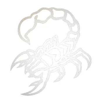 Polep vozidla SAMOLEPKA Štír 019 levá (82 - odrazková reflexní bílá) NA AUTO, NÁLEPKA, FÓLIE, POLEP, TUNING, VLASTNÍ TEXT, TISK, AUTOSAMOLEPKY.cz, POLEPY, OBRÁZEK, LOGO, SAMOLEPKY