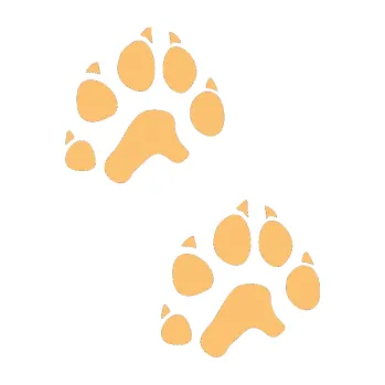 samolepka Tlapky 003 (08 - béžová) SAMOLEPKA NA AUTO, NÁLEPKA, FÓLIE, POLEP, TUNING, VLASTNÍ TEXT, TISK, AUTOSAMOLEPKY.cz, POLEPY, OBRÁZEK, LOGO, 3D STICKERS