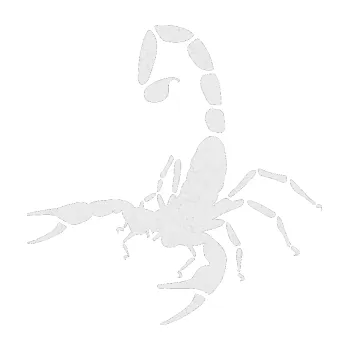 Polep vozidla SAMOLEPKA Štír 018 levá (84 - Ultra Metalic bílá) NA AUTO, NÁLEPKA, FÓLIE, POLEP, TUNING, VLASTNÍ TEXT, TISK, AUTOSAMOLEPKY.cz, POLEPY, OBRÁZEK, LOGO, SAMOLEPKY