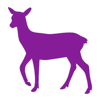 Samolepící dekorace Srna 003 levá (14 - fialová) SAMOLEPKA NA AUTO, NÁLEPKA, FÓLIE, POLEP, TUNING, VLASTNÍ TEXT, TISK, AUTOSAMOLEPKY.cz, POLEPY, OBRÁZEK, LOGO, 3D STICKERS