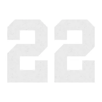 Polep vozidla Startovní číslo 22 (84 - Ultra Metalic bílá) SAMOLEPKA NA AUTO, NÁLEPKA, FÓLIE, POLEP, TUNING, VLASTNÍ TEXT, TISK, AUTOSAMOLEPKY.cz, POLEPY, OBRÁZEK, LOGO, 3D STICKERS