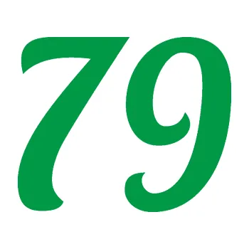 Polep vozidla Startovní číslo 79 typ 3 (12 - zelená) SAMOLEPKA NA AUTO, NÁLEPKA, FÓLIE, POLEP, TUNING, VLASTNÍ TEXT, TISK, AUTOSAMOLEPKY.cz, POLEPY, OBRÁZEK, LOGO, 3D STICKERS