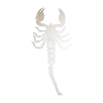 Polep vozidla SAMOLEPKA Štír 010 levá (82 - odrazková reflexní bílá) NA AUTO, NÁLEPKA, FÓLIE, POLEP, TUNING, VLASTNÍ TEXT, TISK, AUTOSAMOLEPKY.cz, POLEPY, OBRÁZEK, LOGO, SAMOLEPKY