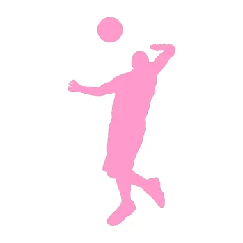 Samolepicí dekorace na vozidlo Voleybal 001 levá (24 - světle růžová) SAMOLEPKA NA AUTO, NÁLEPKA, FÓLIE, POLEP, TUNING, VLASTNÍ TEXT, TISK, AUTOSAMOLEPKY.cz, POLEPY, OBRÁZEK, LOGO, 3D STICKERS