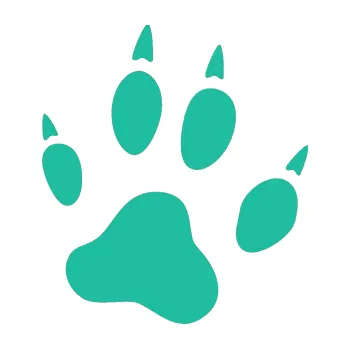 Samolepící dekorace Tlapka 004 pravá (25 - tyrkysová) SAMOLEPKA NA AUTO, NÁLEPKA, FÓLIE, POLEP, TUNING, VLASTNÍ TEXT, TISK, AUTOSAMOLEPKY.cz, POLEPY, OBRÁZEK, LOGO, 3D STICKERS