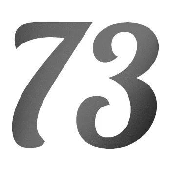 Polep vozidla Startovní číslo 73 typ 3 (41 - grafitová metalíza) SAMOLEPKA NA AUTO, NÁLEPKA, FÓLIE, POLEP, TUNING, VLASTNÍ TEXT, TISK, AUTOSAMOLEPKY.cz, POLEPY, OBRÁZEK, LOGO, 3D STICKERS