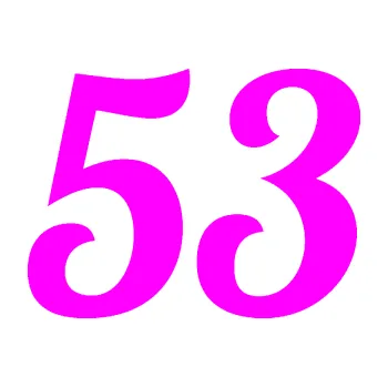 Polep vozidla Startovní číslo 53 typ 3 (72 - Fluorescentní růžová) SAMOLEPKA NA AUTO, NÁLEPKA, FÓLIE, POLEP, TUNING, VLASTNÍ TEXT, TISK, AUTOSAMOLEPKY.cz, POLEPY, OBRÁZEK, LOGO, 3D STICKERS