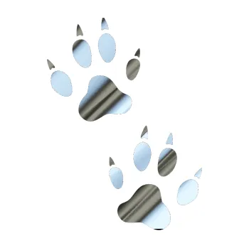 samolepka Tlapky 004 (80 - chrom fólie stříbrná zrcadlová) SAMOLEPKA NA AUTO, NÁLEPKA, FÓLIE, POLEP, TUNING, VLASTNÍ TEXT, TISK, AUTOSAMOLEPKY.cz, POLEPY, OBRÁZEK, LOGO, 3D STICKERS