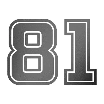 Polep vozidla Startovní číslo 81 typ 5 (41 - grafitová metalíza) SAMOLEPKA NA AUTO, NÁLEPKA, FÓLIE, POLEP, TUNING, VLASTNÍ TEXT, TISK, AUTOSAMOLEPKY.cz, POLEPY, OBRÁZEK, LOGO, 3D STICKERS