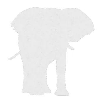 Samolepící dekorace Slon 012 pravá (84 - Ultra Metalic bílá) SAMOLEPKA NA AUTO, NÁLEPKA, FÓLIE, POLEP, TUNING, VLASTNÍ TEXT, TISK, AUTOSAMOLEPKY.cz, POLEPY, OBRÁZEK, LOGO, 3D STICKERS