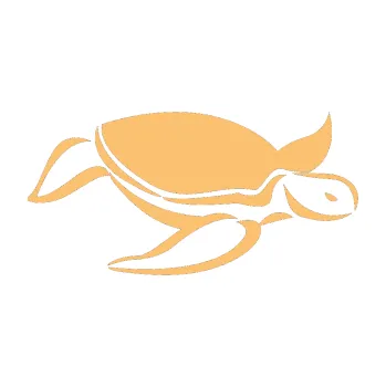 Samolepící dekorace Želva 002 pravá (08 - béžová) SAMOLEPKA NA AUTO, NÁLEPKA, FÓLIE, POLEP, TUNING, VLASTNÍ TEXT, TISK, AUTOSAMOLEPKY.cz, POLEPY, OBRÁZEK, LOGO, 3D STICKERS