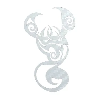 Polep vozidla SAMOLEPKA Štír 009 pravá (51 - 3D karbon bílý) NA AUTO, NÁLEPKA, FÓLIE, POLEP, TUNING, VLASTNÍ TEXT, TISK, AUTOSAMOLEPKY.cz, POLEPY, OBRÁZEK, LOGO, SAMOLEPKY