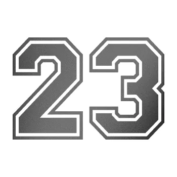 Polep vozidla Startovní číslo 23 typ 4 (41 - grafitová metalíza) SAMOLEPKA NA AUTO, NÁLEPKA, FÓLIE, POLEP, TUNING, VLASTNÍ TEXT, TISK, AUTOSAMOLEPKY.cz, POLEPY, OBRÁZEK, LOGO, 3D STICKERS