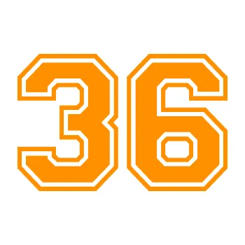Polep vozidla Startovní číslo 36 typ 4 (06 - oranžová) SAMOLEPKA NA AUTO, NÁLEPKA, FÓLIE, POLEP, TUNING, VLASTNÍ TEXT, TISK, AUTOSAMOLEPKY.cz, POLEPY, OBRÁZEK, LOGO, 3D STICKERS