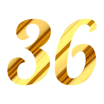 Polep vozidla Startovní číslo 36 typ 3 (81 - chrom fólie zlatá zrcadlová) SAMOLEPKA NA AUTO, NÁLEPKA, FÓLIE, POLEP, TUNING, VLASTNÍ TEXT, TISK, AUTOSAMOLEPKY.cz, POLEPY, OBRÁZEK, LOGO, 3D STICKERS