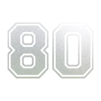 Polep vozidla Startovní číslo 80 typ 4 (60 - pískované sklo) SAMOLEPKA NA AUTO, NÁLEPKA, FÓLIE, POLEP, TUNING, VLASTNÍ TEXT, TISK, AUTOSAMOLEPKY.cz, POLEPY, OBRÁZEK, LOGO, 3D STICKERS