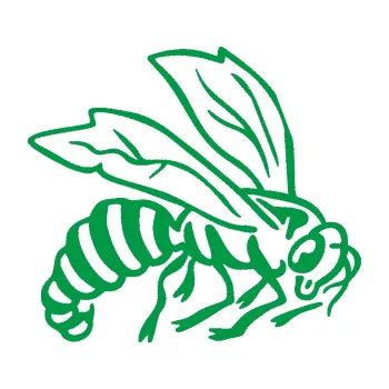 Samolepící dekorace Vosa 003 pravá (12 - zelená) SAMOLEPKA NA AUTO, NÁLEPKA, FÓLIE, POLEP, TUNING, VLASTNÍ TEXT, TISK, AUTOSAMOLEPKY.cz, POLEPY, OBRÁZEK, LOGO, 3D STICKERS