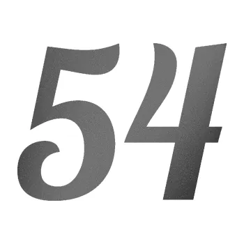 Polep vozidla SAMOLEPKA NA AUTO Startovní číslo 54 typ 3 (41 - grafitová metalíza) NÁLEPKA, FÓLIE, POLEP, TUNING, VLASTNÍ TEXT, TISK, AUTOSAMOLEPKY.cz, POLEPY, OBRÁZEK, LOGO, SAMOLEPKY