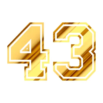 Polep vozidla Startovní číslo 43 typ 4 (81 - chrom fólie zlatá zrcadlová) SAMOLEPKA NA AUTO, NÁLEPKA, FÓLIE, POLEP, TUNING, VLASTNÍ TEXT, TISK, AUTOSAMOLEPKY.cz, POLEPY, OBRÁZEK, LOGO, 3D STICKERS