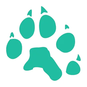 Samolepící dekorace Tlapka 003 pravá (25 - tyrkysová) SAMOLEPKA NA AUTO, NÁLEPKA, FÓLIE, POLEP, TUNING, VLASTNÍ TEXT, TISK, AUTOSAMOLEPKY.cz, POLEPY, OBRÁZEK, LOGO, 3D STICKERS