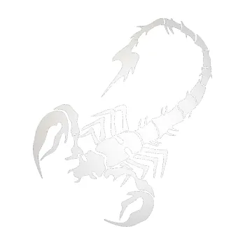 Polep vozidla SAMOLEPKA Štír 020 levá (82 - odrazková reflexní bílá) NA AUTO, NÁLEPKA, FÓLIE, POLEP, TUNING, VLASTNÍ TEXT, TISK, AUTOSAMOLEPKY.cz, POLEPY, OBRÁZEK, LOGO, SAMOLEPKY