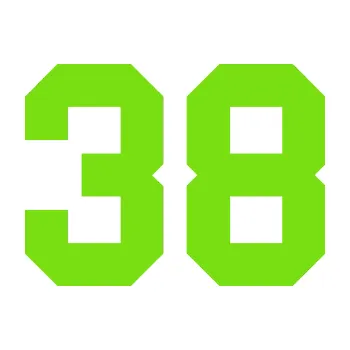 Polep vozidla Startovní číslo 38 (04 - zelená kawasaki) SAMOLEPKA NA AUTO, NÁLEPKA, FÓLIE, POLEP, TUNING, VLASTNÍ TEXT, TISK, AUTOSAMOLEPKY.cz, POLEPY, OBRÁZEK, LOGO, 3D STICKERS