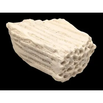 Sběratelství Přírodní kus korálu, Mexiko 66 g