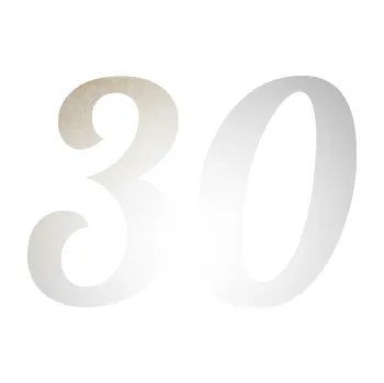 Polep vozidla SAMOLEPKA Startovní číslo 30 typ 3 (82 - odrazková reflexní bílá) NA AUTO, NÁLEPKA, FÓLIE, POLEP, TUNING, VLASTNÍ TEXT, TISK, AUTOSAMOLEPKY.cz, POLEPY, OBRÁZEK, LOGO, SAMOLEPKY