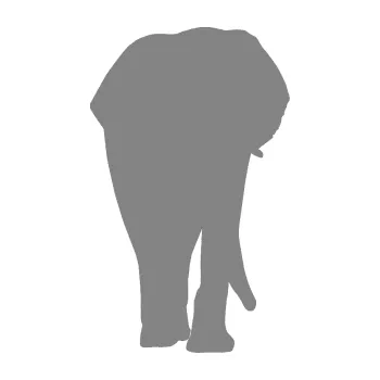 Samolepící dekorace Slon 008 pravá (17 - šedá) SAMOLEPKA NA AUTO, NÁLEPKA, FÓLIE, POLEP, TUNING, VLASTNÍ TEXT, TISK, AUTOSAMOLEPKY.cz, POLEPY, OBRÁZEK, LOGO, 3D STICKERS