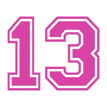 Polep vozidla Startovní číslo 13 typ 4 (16 - růžová) SAMOLEPKA NA AUTO, NÁLEPKA, FÓLIE, POLEP, TUNING, VLASTNÍ TEXT, TISK, AUTOSAMOLEPKY.cz, POLEPY, OBRÁZEK, LOGO, 3D STICKERS