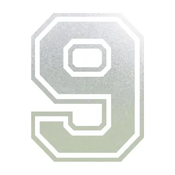 Polep vozidla Startovní číslo 9 typ 4 (60 - pískované sklo) SAMOLEPKA NA AUTO, NÁLEPKA, FÓLIE, POLEP, TUNING, VLASTNÍ TEXT, TISK, AUTOSAMOLEPKY.cz, POLEPY, OBRÁZEK, LOGO, 3D STICKERS