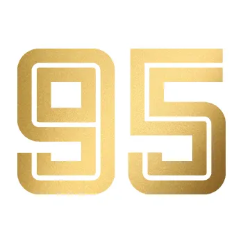 Polep vozidla Startovní číslo 95 typ 7 (43 - zlatá metalíza) SAMOLEPKA NA AUTO, NÁLEPKA, FÓLIE, POLEP, TUNING, VLASTNÍ TEXT, TISK, AUTOSAMOLEPKY.cz, POLEPY, OBRÁZEK, LOGO, 3D STICKERS