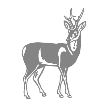Samolepící dekorace SAMOLEPKA Srnec 005 pravá (17 - šedá) NA AUTO, NÁLEPKA, FÓLIE, POLEP, TUNING, VLASTNÍ TEXT, TISK, AUTOSAMOLEPKY.cz, POLEPY, OBRÁZEK, LOGO, SAMOLEPKY