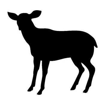 Samolepící dekorace SAMOLEPKA Srna 001 levá (01 - černá) NA AUTO, NÁLEPKA, FÓLIE, POLEP, TUNING, VLASTNÍ TEXT, TISK, AUTOSAMOLEPKY.cz, POLEPY, OBRÁZEK, LOGO, SAMOLEPKY