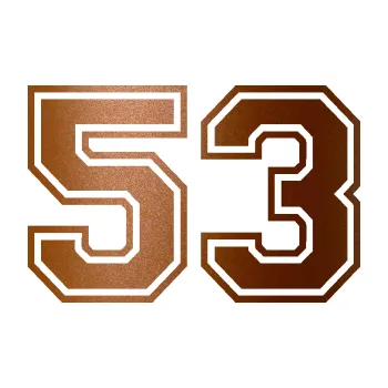 Polep vozidla Startovní číslo 53 typ 4 (44 - měděná metalíza) SAMOLEPKA NA AUTO, NÁLEPKA, FÓLIE, POLEP, TUNING, VLASTNÍ TEXT, TISK, AUTOSAMOLEPKY.cz, POLEPY, OBRÁZEK, LOGO, 3D STICKERS