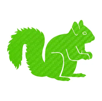 Samolepící dekorace SAMOLEPKA Veverka 001 pravá (58 - 3D karbon zelený kawasaki) NA AUTO, NÁLEPKA, FÓLIE, POLEP, TUNING, VLASTNÍ TEXT, TISK, AUTOSAMOLEPKY.cz, POLEPY, OBRÁZEK, LOGO, SAMOLEPKY