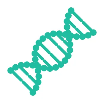 samolepka Vzorec DNA pravá (25 - tyrkysová) SAMOLEPKA NA AUTO, NÁLEPKA, FÓLIE, POLEP, TUNING, VLASTNÍ TEXT, TISK, AUTOSAMOLEPKY.cz, POLEPY, OBRÁZEK, LOGO, 3D STICKERS