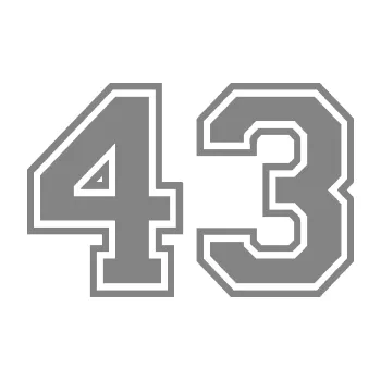 Polep vozidla Startovní číslo 43 typ 4 (17 - šedá) SAMOLEPKA NA AUTO, NÁLEPKA, FÓLIE, POLEP, TUNING, VLASTNÍ TEXT, TISK, AUTOSAMOLEPKY.cz, POLEPY, OBRÁZEK, LOGO, 3D STICKERS