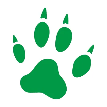 Samolepící dekorace Tlapka 004 pravá (12 - zelená) SAMOLEPKA NA AUTO, NÁLEPKA, FÓLIE, POLEP, TUNING, VLASTNÍ TEXT, TISK, AUTOSAMOLEPKY.cz, POLEPY, OBRÁZEK, LOGO, 3D STICKERS