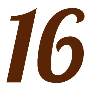 Polep vozidla Startovní číslo 16 typ 3 (15 - hnědá) SAMOLEPKA NA AUTO, NÁLEPKA, FÓLIE, POLEP, TUNING, VLASTNÍ TEXT, TISK, AUTOSAMOLEPKY.cz, POLEPY, OBRÁZEK, LOGO, 3D STICKERS