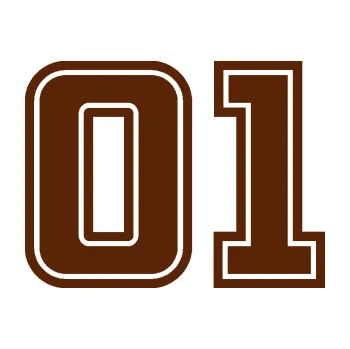 Polep vozidla Startovní číslo 01 typ 5 (15 - hnědá) SAMOLEPKA NA AUTO, NÁLEPKA, FÓLIE, POLEP, TUNING, VLASTNÍ TEXT, TISK, AUTOSAMOLEPKY.cz, POLEPY, OBRÁZEK, LOGO, 3D STICKERS