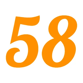 Polep vozidla Startovní číslo 58 typ 3 (06 - oranžová) SAMOLEPKA NA AUTO, NÁLEPKA, FÓLIE, POLEP, TUNING, VLASTNÍ TEXT, TISK, AUTOSAMOLEPKY.cz, POLEPY, OBRÁZEK, LOGO, 3D STICKERS