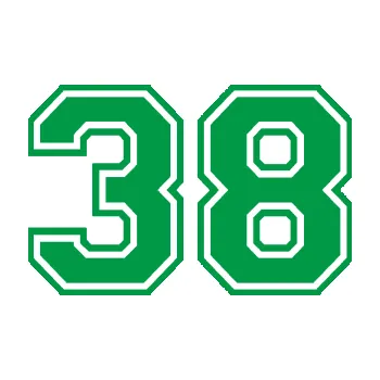 Polep vozidla Startovní číslo 38 typ 4 (12 - zelená) SAMOLEPKA NA AUTO, NÁLEPKA, FÓLIE, POLEP, TUNING, VLASTNÍ TEXT, TISK, AUTOSAMOLEPKY.cz, POLEPY, OBRÁZEK, LOGO, 3D STICKERS