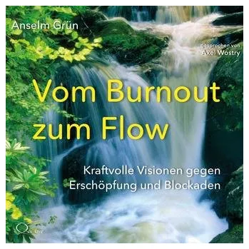 Vom Burnout zum Flow - Grün, Anselm