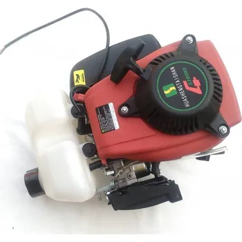 Motor pro motocykl Motor X-scooters XG 49cc 4t