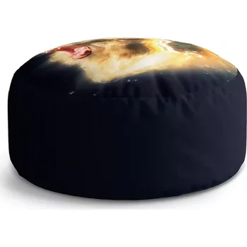 Sedací pytel Kulatý taburet Circle Lev art: 38x48 cm - Sablio