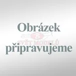 STŘÍKACÍ PISTOLE FENGDA BD-202 TRYSKA 0,3 mm DVOJČINNÁ 202030