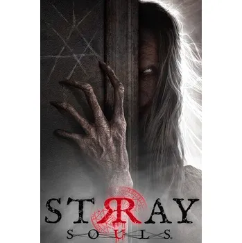 Počítačová hra Stray Souls PC