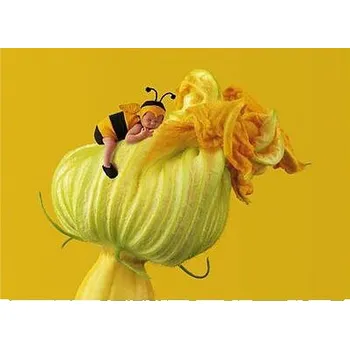 Puzzle VČELKA ANNE GEDDES PUZZLE SCHMIDT 1000 dílků 57956